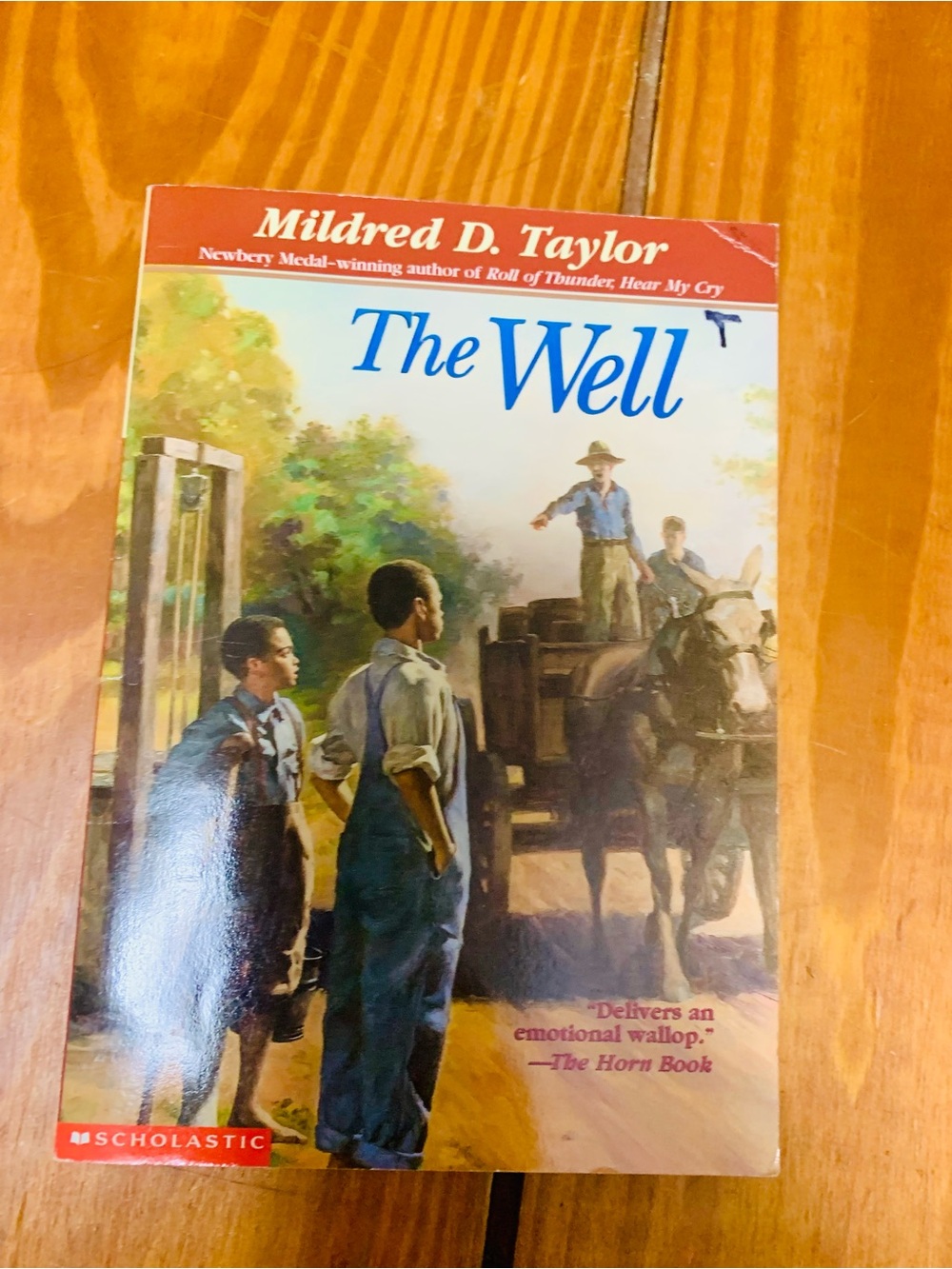 The Well by Mildred D. Taylor Scholastic Paperback book